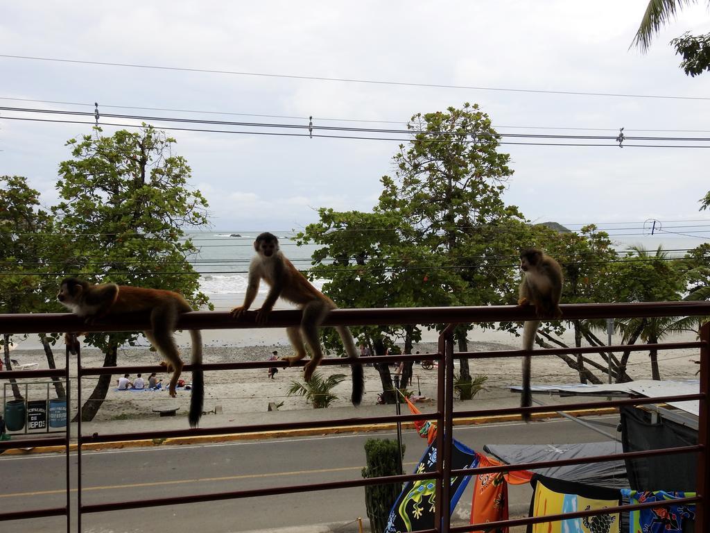 The Elephant Castle Beach Front Penthouse Manuel Antonio Exteriér fotografie